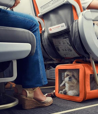 Pet Travel and Safety