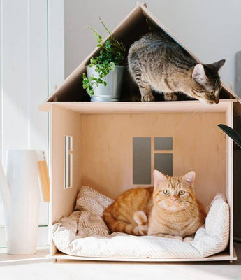 Pet-Friendly Home Décor