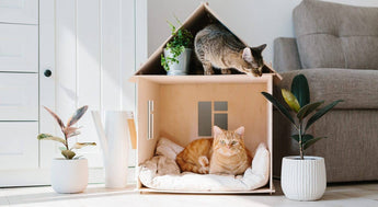 Pet-Friendly Home Décor