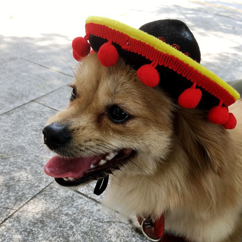 New Sales Pet Supplies Hot Dog Hats