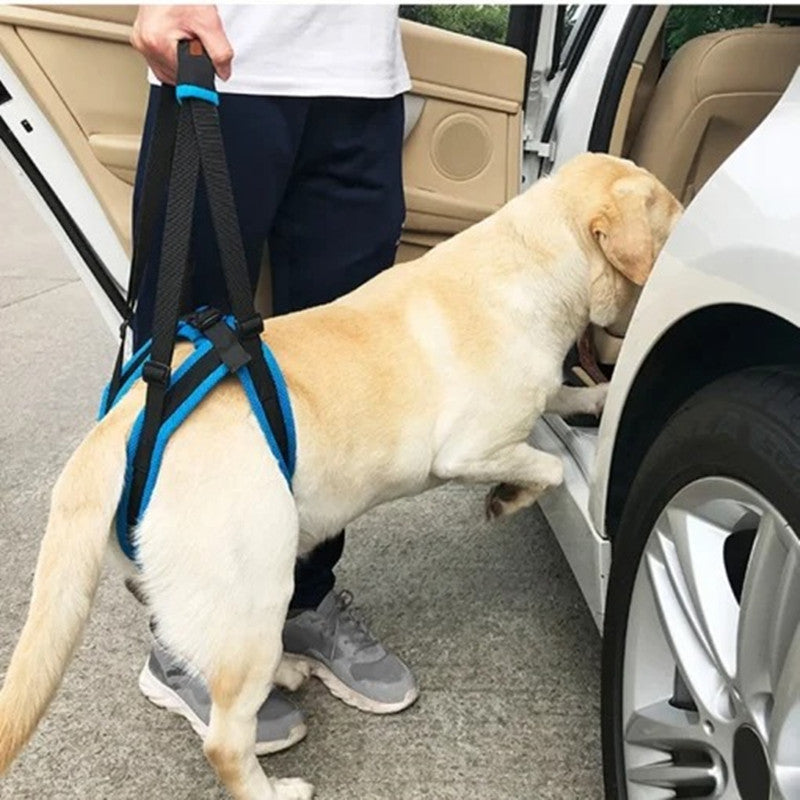 Pet Leg Harness Walking Support